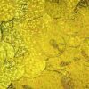 Folienkonfetti Rund Gold Holographisch 1 cm 15 g