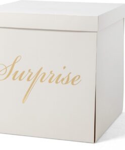 Surprise Box Weiß 50x50