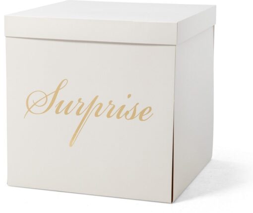 Surprise Box Weiß 50x50